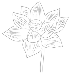 Especialistas de la Reserved List